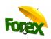 forex.jpg