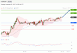 C:\fakepath\trader-21112022-5-zm.png