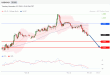 C:\fakepath\trader-22112022-23-zm.jpg