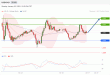 C:\fakepath\trader-16012023-24-zm.jpg