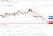 C:\fakepath\trader-01112023-26-zm.png
