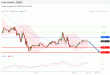 C:\fakepath\trader-10112023-15-zm.jpg