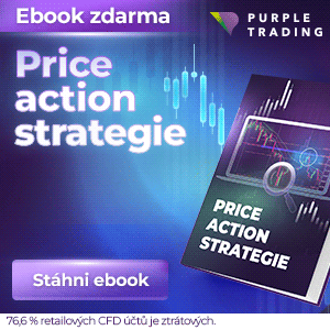 Purple Trading Ebook Price Action Strategie