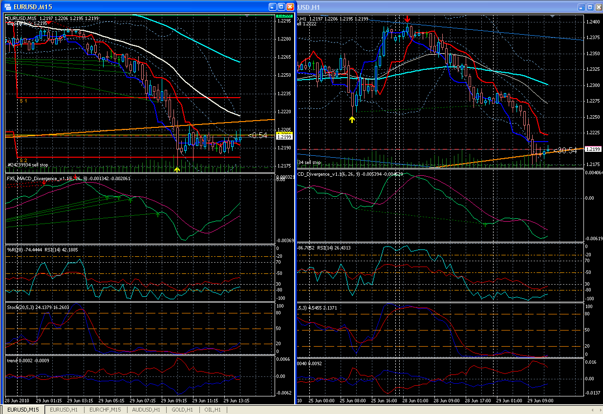 graf EurUsd 29.06.2010_14.31.gif